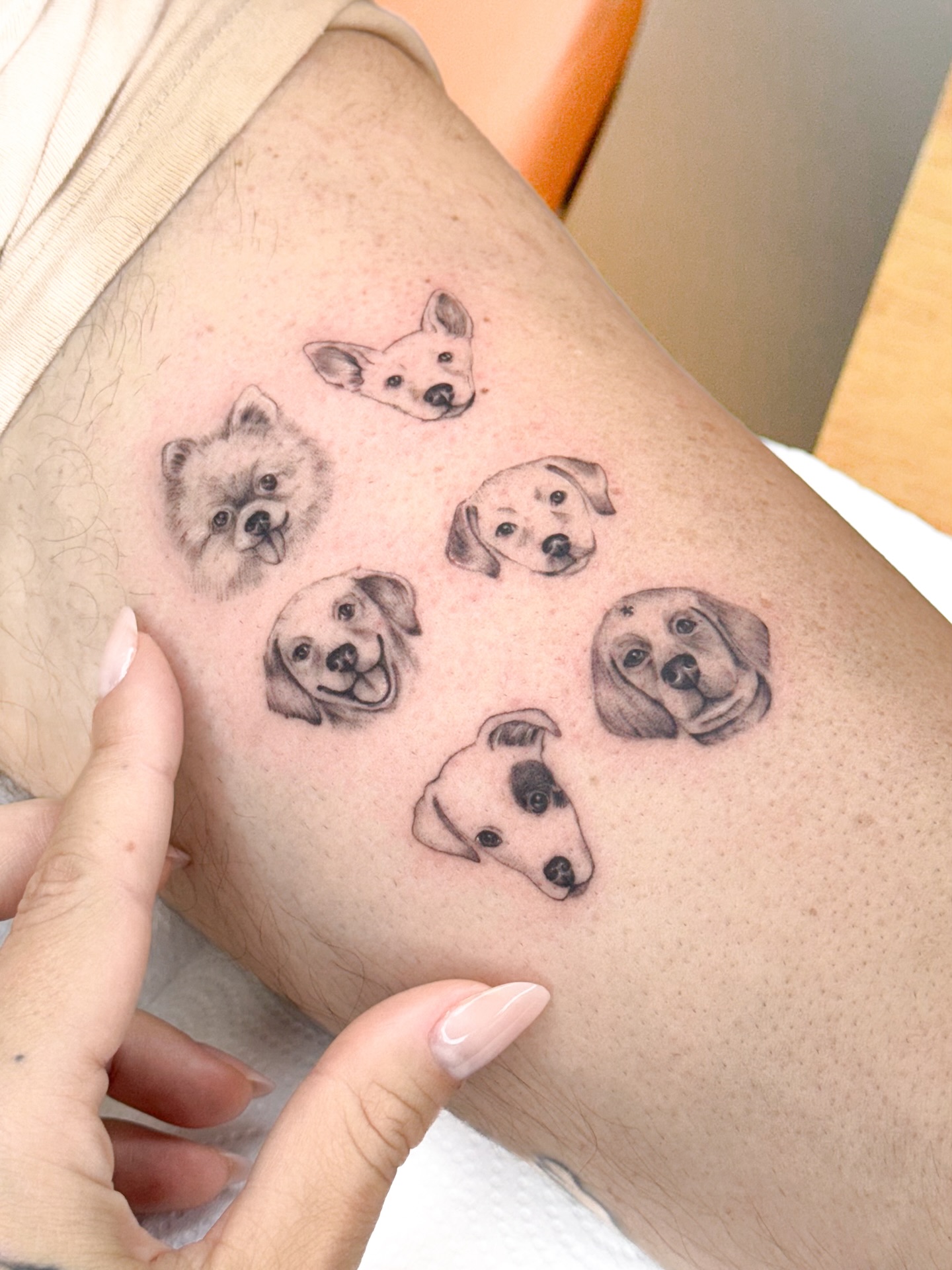 Tatuagem fine line de pets